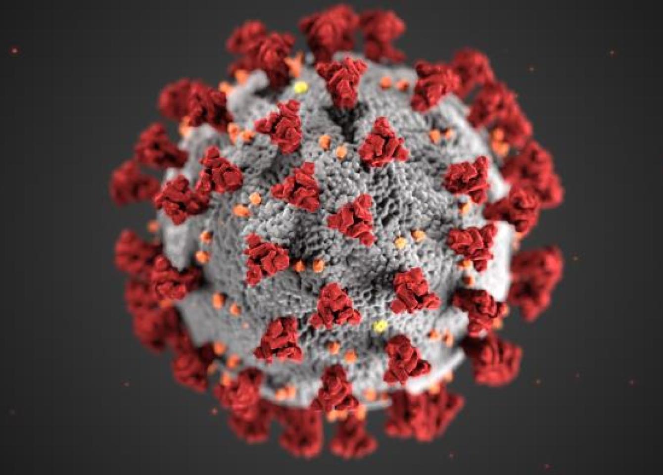 Coronavirus 
