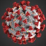 Coronavirus 